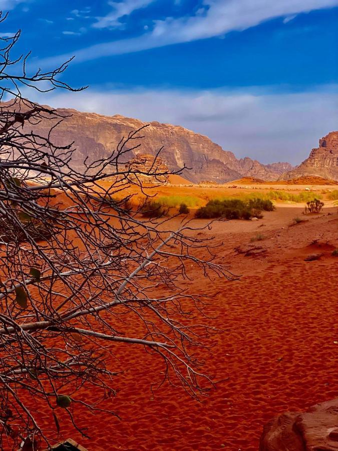 Sand And Stone Camp - Wadi Rum Desert 外观 照片