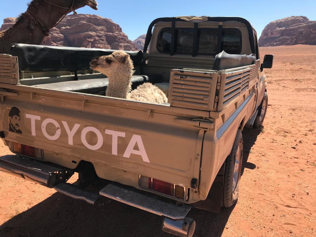 Sand And Stone Camp - Wadi Rum Desert 外观 照片