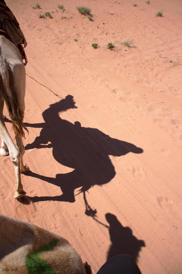 Sand And Stone Camp - Wadi Rum Desert 外观 照片